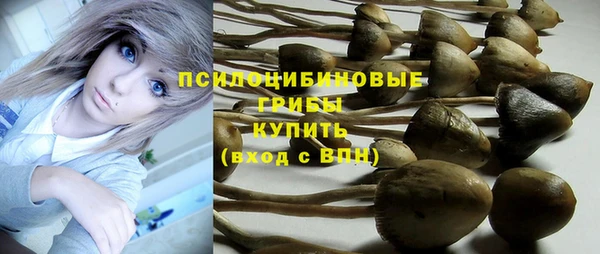 спиды Медногорск